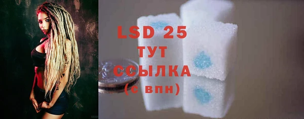 PSILOCYBIN Беломорск