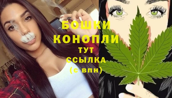 PSILOCYBIN Беломорск